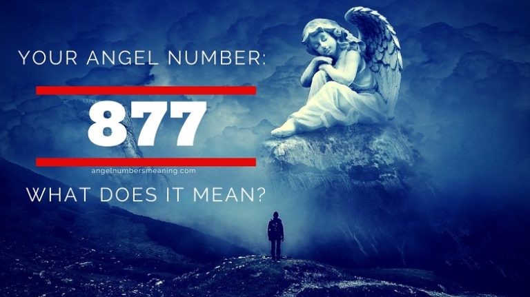 Angel Number 877 – Meaning and Symbolism
